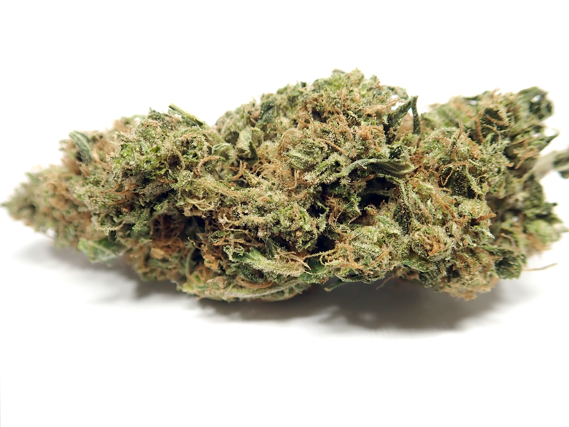 Cannabis: what does it mean?