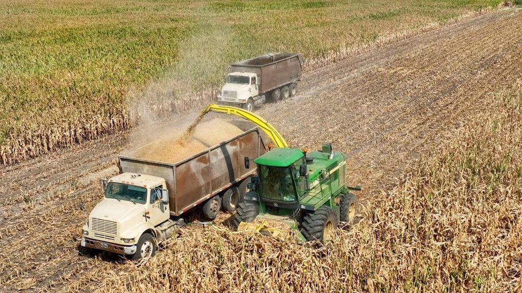 Services done through plan